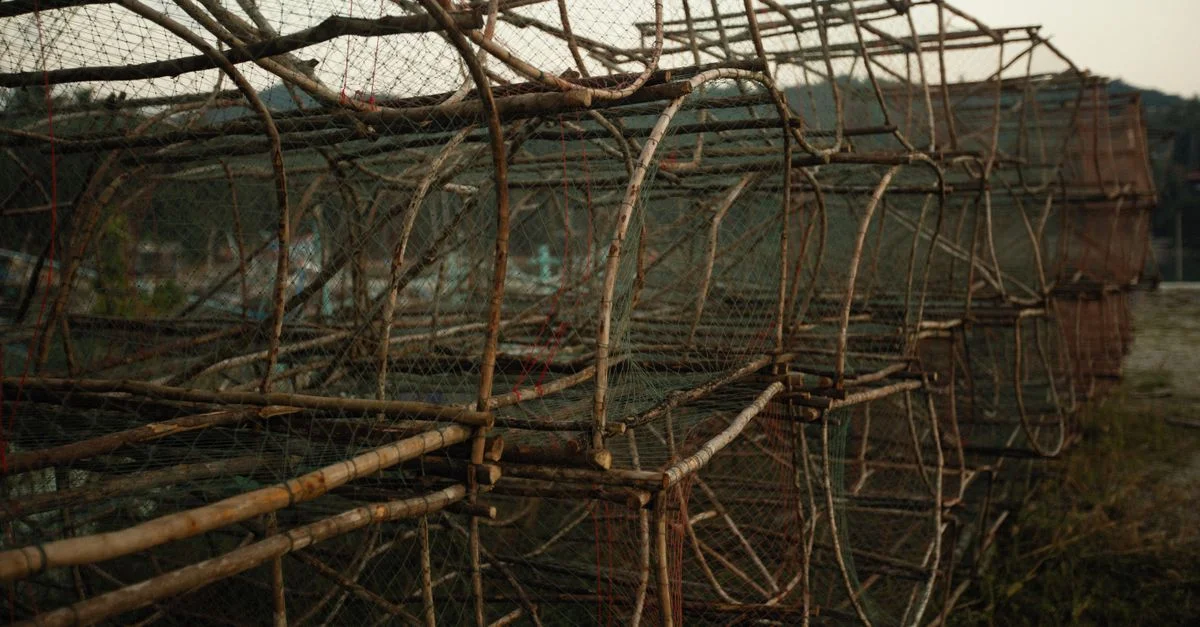 Gros plan de pièges à homards en bois traditionnels empilés sur la plage au coucher du soleil.