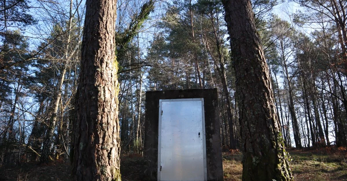 Une porte en métal solitaire se dresse parmi de grands pins dans une scène forestière sereine.